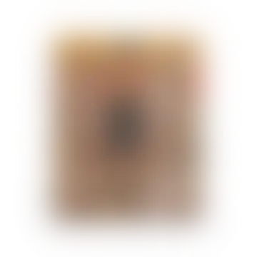 Terencendental Coronation – Open Edition Print — 16″ × 20″ — print on its own (contains artistic nudity)