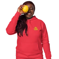 TSK Logo Unisex Premium Hoodie — Team Red — Lifestyle front