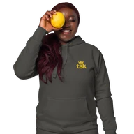 TSK Logo Unisex Premium Hoodie — Vintage Black — Lifestyle front