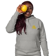 TSK Logo Unisex Premium Hoodie — Carbon Grey — Lifestyle front