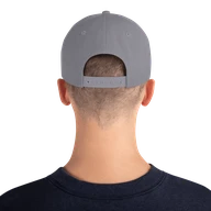 snapback — Silver — back